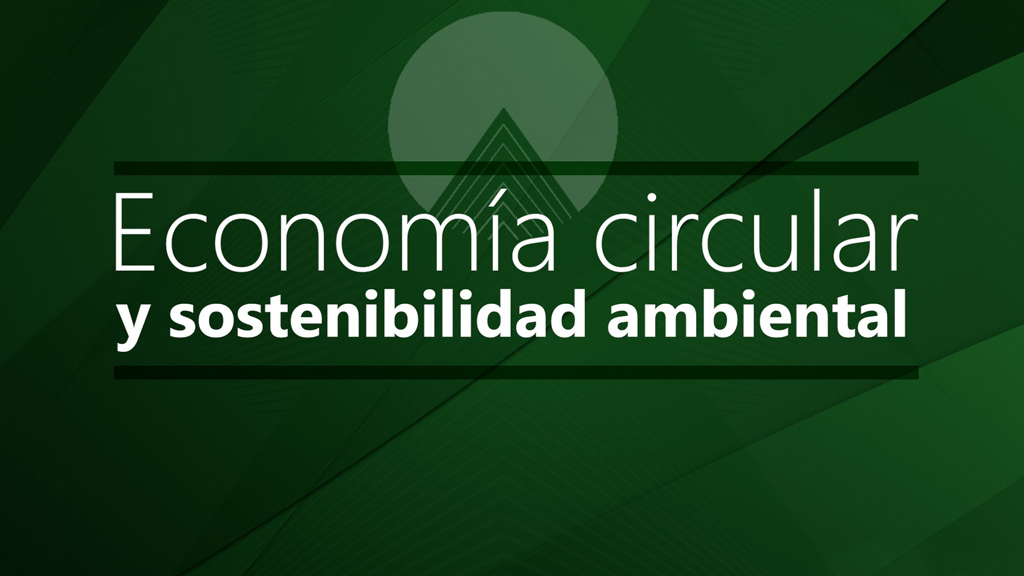 Curso de Econom&iacute;a circular y sostenibilidad ambiental