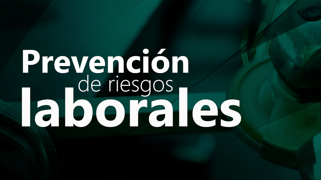 Curso de Prevenci&oacute;n de riesgos laborales
