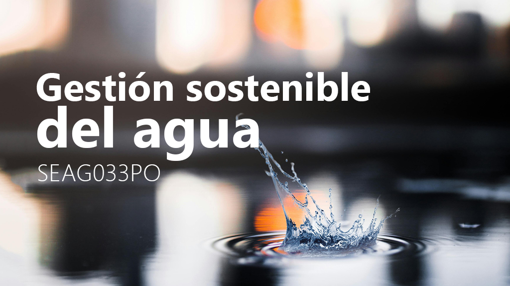 Curso de Gesti&oacute;n sostenible del agua (SEAG033PO)